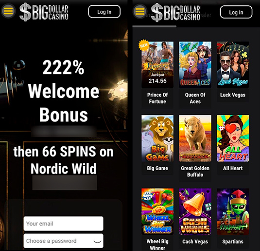 Welcome page of the app