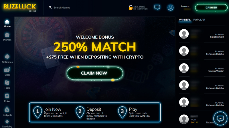 Online casino’s official website