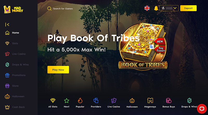 The casino website