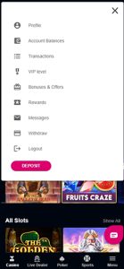 Mobile website profile management