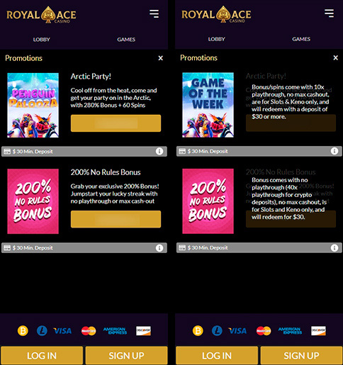 Bonus program for mobile users