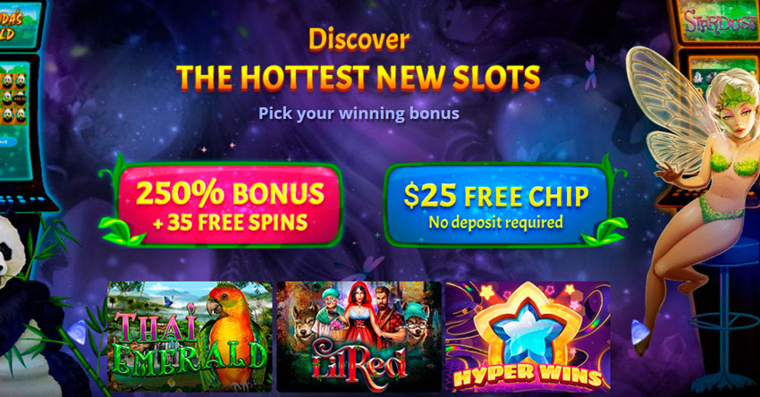 Bonuses in online casino