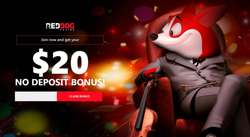 No deposit casino bonus