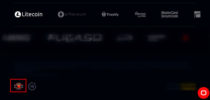 Information about the license on the official casino website