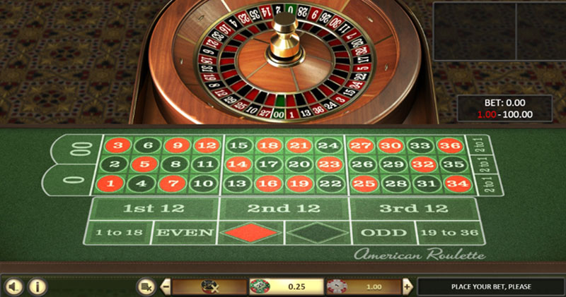 The American roulette playing field