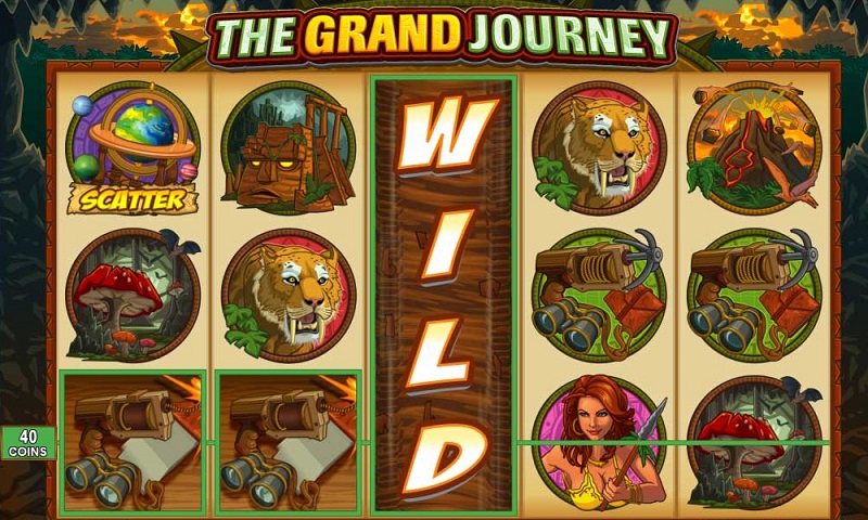 Expanding Wild