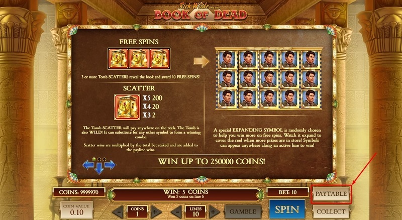 Slot machine rules