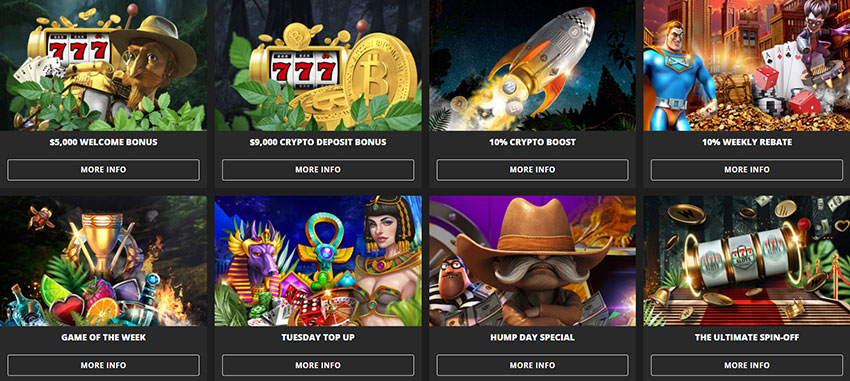 Variety of promotions